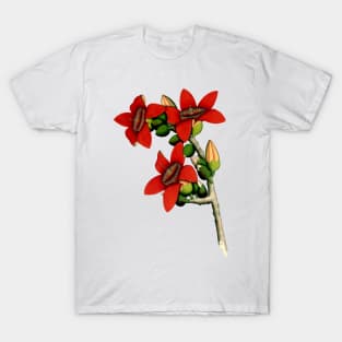 Red Cotton Tree Flowers 1800 Calcutta India T-Shirt